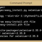 How Do I Find Selenium Version in Windows