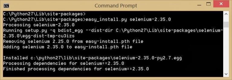 How Do I Find Selenium Version in Windows
